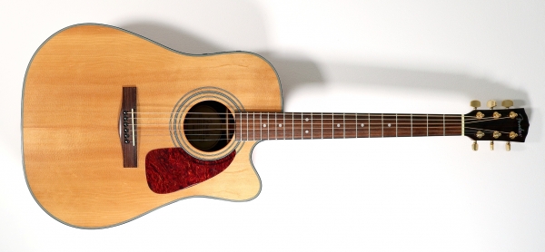 Preview: Fender DG-22SCE BUBINGA NAT