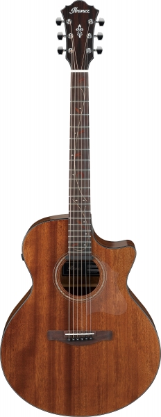 Preview: Ibanez AE295-LGS