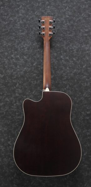 Preview: Ibanez AW80CE-BLG