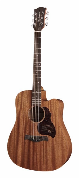 Preview: Richwood D-50-CE Master Series