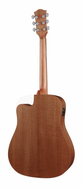 Preview: Richwood D-50-CE Master Series