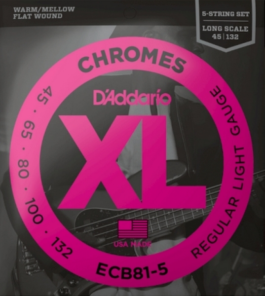 Preview: D'addario ECB81-5