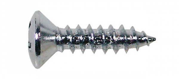 Boston TS-01-C Schlagbrett-Schrauben chrom