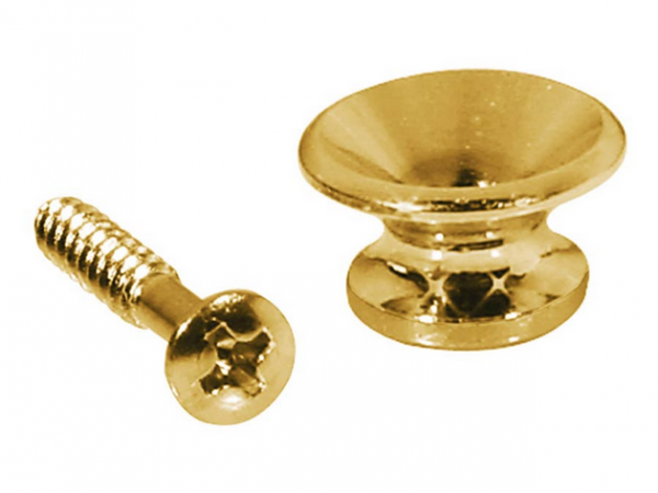 Boston EP-L-G Gurtpin gold