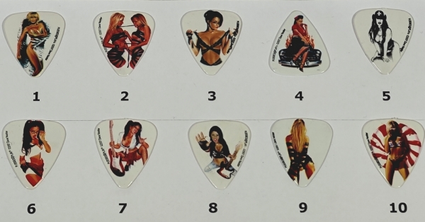 Grover allman Chicks on Picks Plektrum