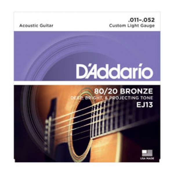D'addario EJ13