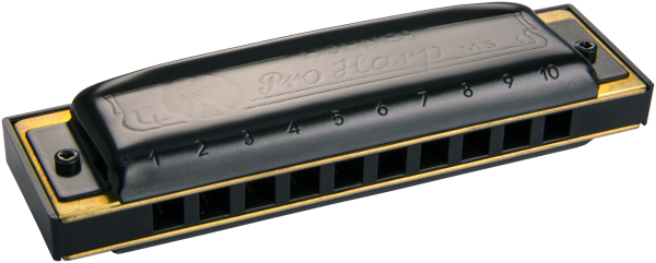 Hohner PRO HARP D MS