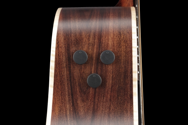 Ibanez PA300E-NSL