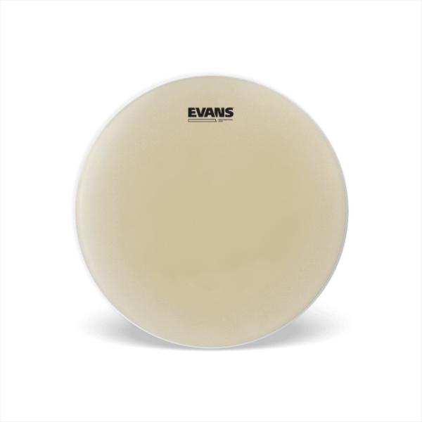 Evans S14GEN20 Snare Side - Orchestral 200