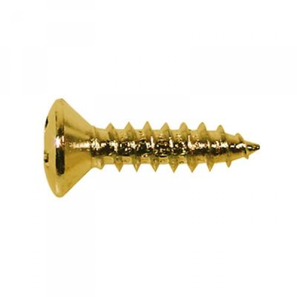 Boston TS-01-G Schlagbrett-Schrauben gold