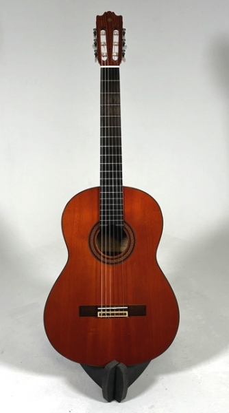 Yamaha G-231II