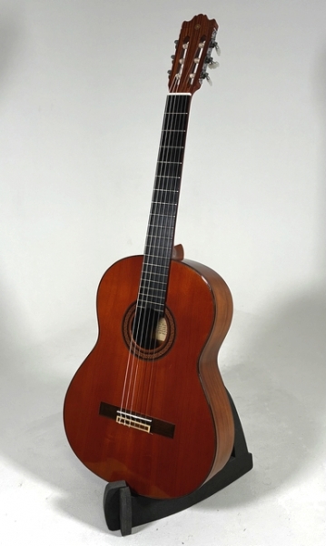 Preview: Yamaha G-231II