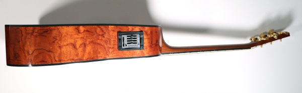 Fender DG-22SCE BUBINGA NAT