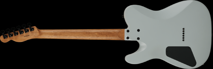 Charvel Standard Series Style 2 SD2 HH HT