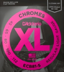 D'addario ECB81-5