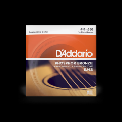 D'addario EJ42 Resophonic