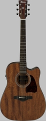Ibanez AW54CE-OPN