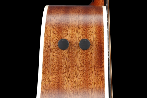 Ibanez PA230E-NSL