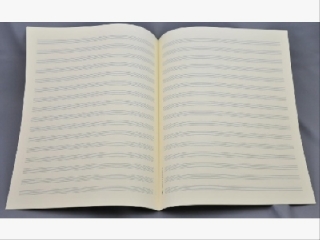 Notenschreibpapier 27x34 hoch STAR2