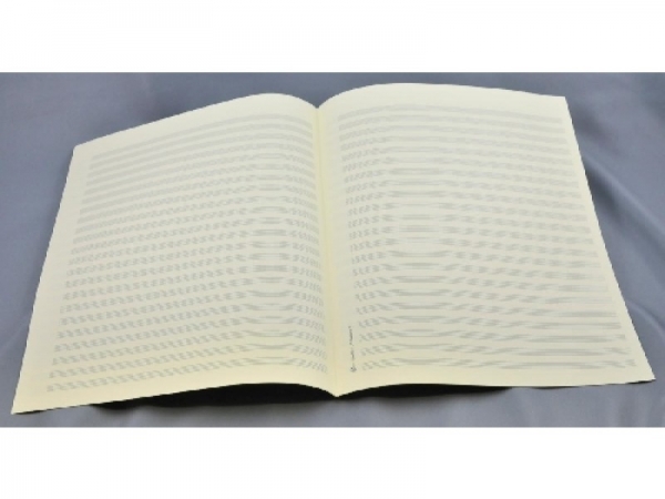 Notenschreibpapier 27x34 hoch STAR17